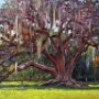 Cellon Oak - Oil on wood 8 x 10 Copyright 2011 Tim Malles (640x512)